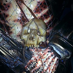PREDATOR 2 STATUE ( Collaboration work Between Larry Kidd and I )