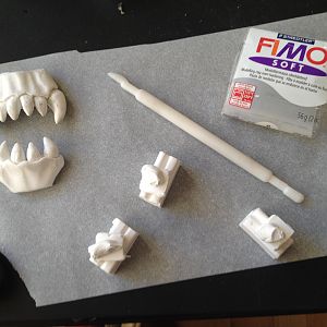 New chompers in the making