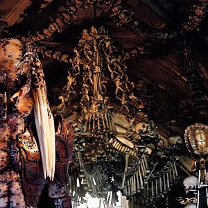 Albino in HELL