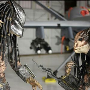 Predator face-off on Military Base!!!