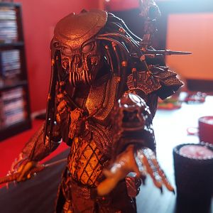 AvP Celtic predator