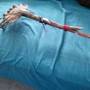Face-hugger staff or spear IDEA!!