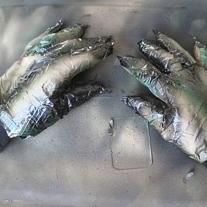 PREDATOR hands finished!!