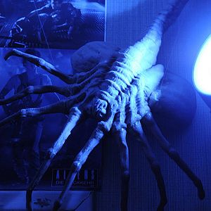 Aliens Facehugger (by Phil Yeary, All Artistries 2001)