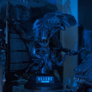 Aliens - Queen Bust #43/1500 (by Sideshow Collectibles) Pic 2