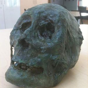 swamp skull