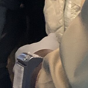 IMG_2354.jpg