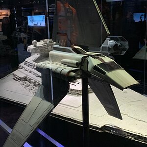 IMG_2337.jpg