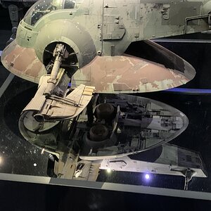 IMG_2335.jpg