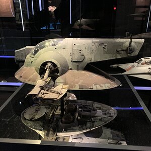 IMG_2333.jpg