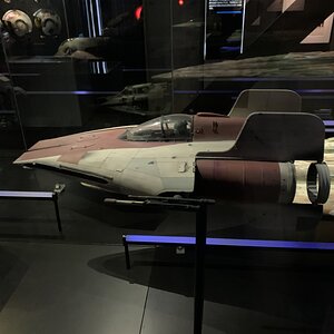 IMG_2332.jpg