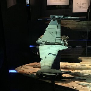 IMG_2326.jpg