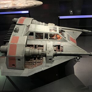 IMG_2323.jpg