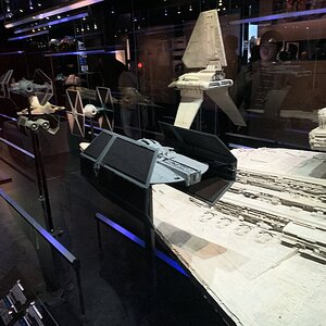 IMG_2319.jpg