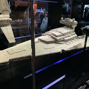 IMG_2317.jpg