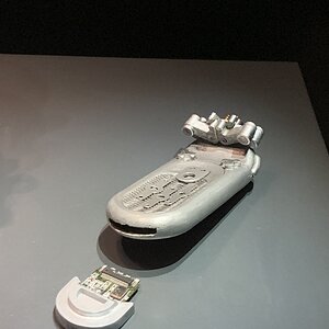 IMG_2290.jpg