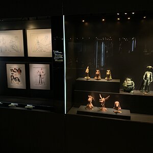IMG_2284.jpg