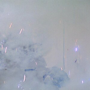 starwarsIV_0115.jpg