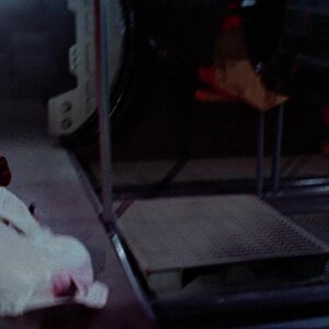 starwarsIV_0211.jpg