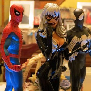 Closeup of both spidey and blackcat