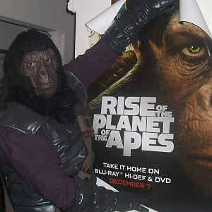 Home decorating, Ape style