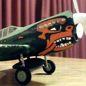 POTA cartoon Kittyhawk