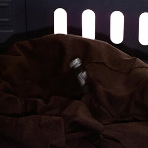starwarsIV_4309.jpg