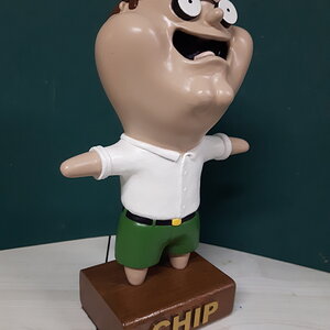 chip2.jpg