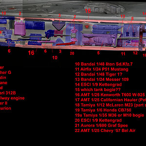 MF24_Port_mandible_waistband.jpg