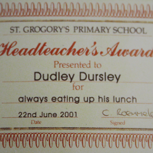 dudley dursley's certificate from the page to screen book!