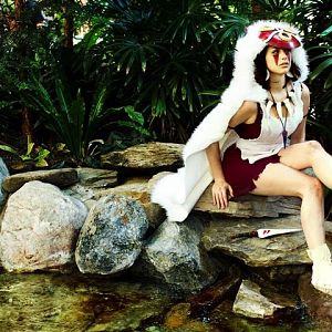 Character: San
Series: Princess Mononoke 
Makeup: Linda Le
Photos: Anna Fischer

Costume Writeup: http://www.meagan-marie.com/mononoke/