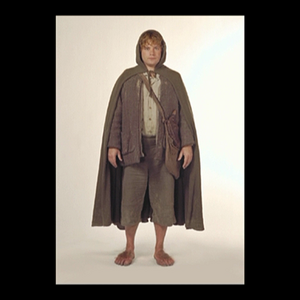 FELLOWSHIP_EXT_D3 - F  VIDEO_TS_20250217_135522.801.png