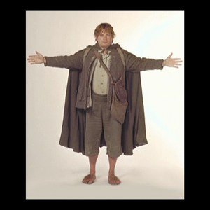 FELLOWSHIP_EXT_D3 - F  VIDEO_TS_20250217_135525.409.png