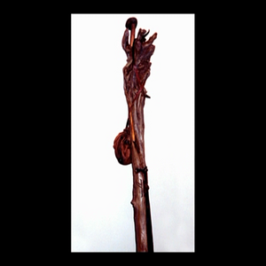 FELLOWSHIP_EXT_D3 - F  VIDEO_TS_20250217_120059.872.png