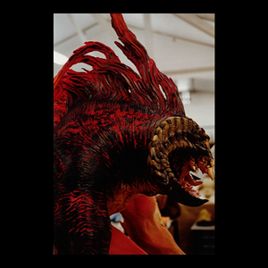 vlcsnap-2025-04-13-00h36m18s355.png