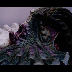 vlcsnap-2025-04-13-02h35m30s078.png