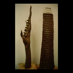 vlcsnap-2025-04-13-02h35m30s779.png