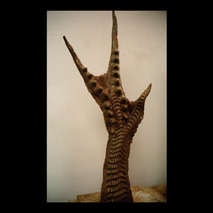 vlcsnap-2025-04-13-02h35m31s642.png