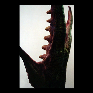 vlcsnap-2025-04-13-02h35m32s373.png