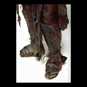 vlcsnap-2025-04-13-02h34m02s269.png