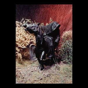 vlcsnap-2025-04-13-02h30m25s183.png