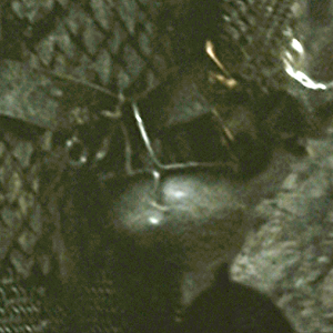 sam4.png