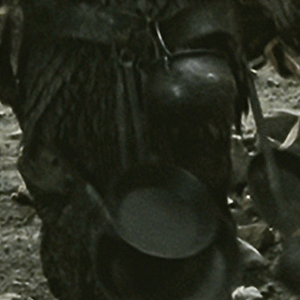 sam5.png
