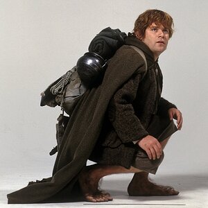 Sam-Lotr-TT-lord-of-the-rings-37618536-2676-3301.jpg