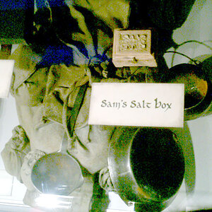 SamKnap_ROM_Rd.jpg